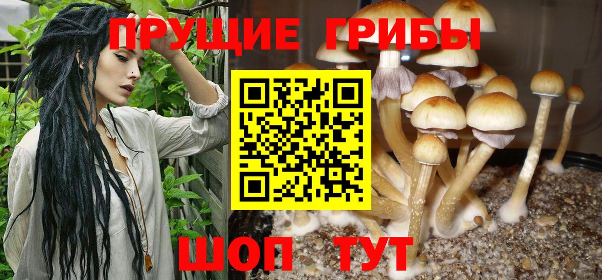 Радужный  Псилоцибиновые грибы мухоморы  Вход с VPN 